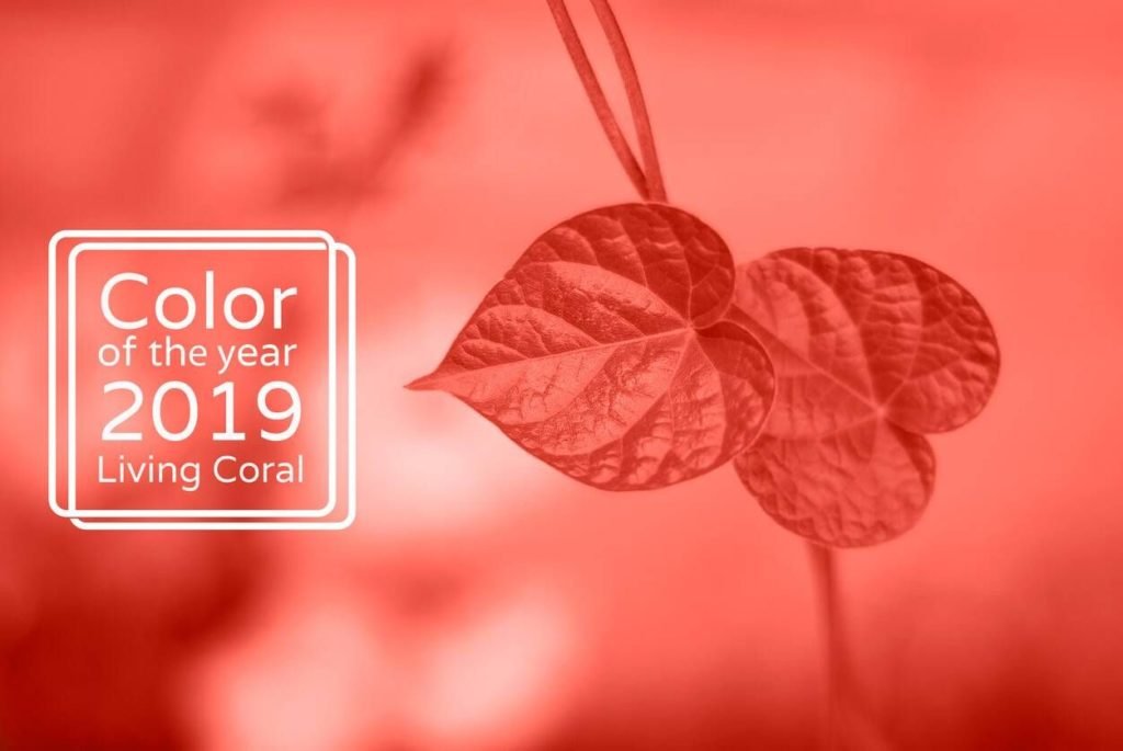 134cd488e72240c8fb584544c1ec8856